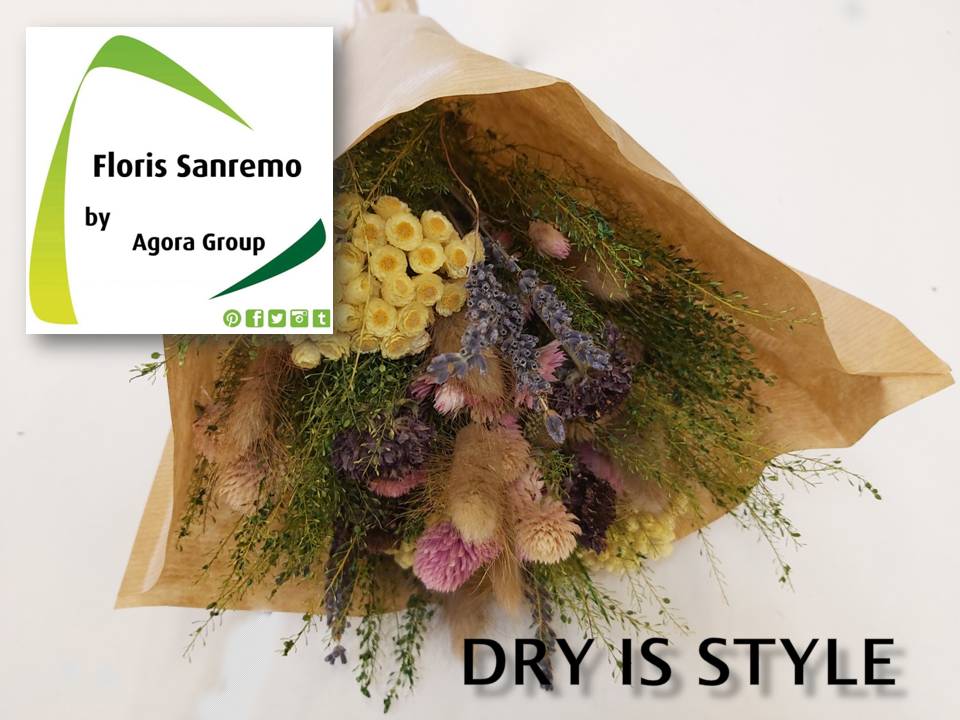 Dry is Style… download the assortment here